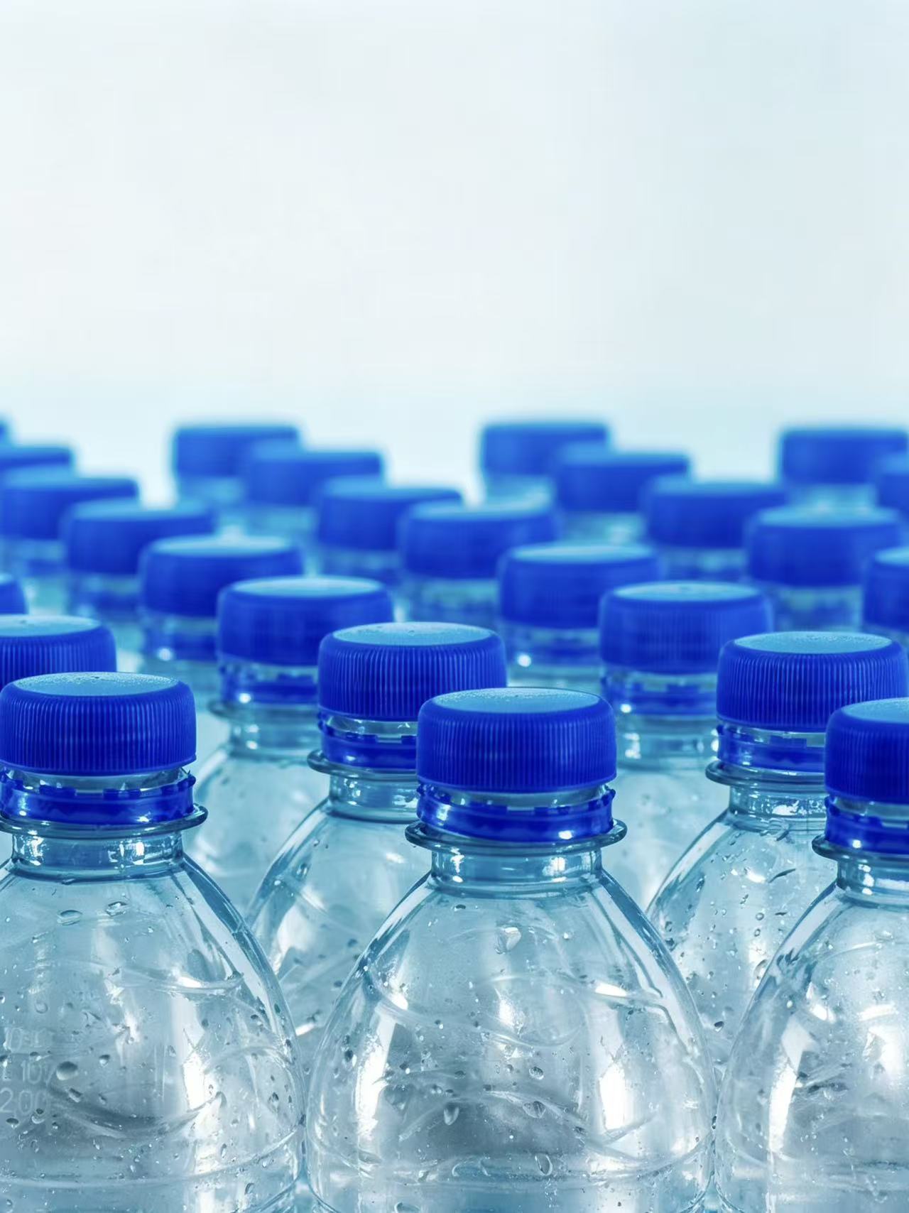 Bottle